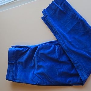 Banana Republic cobalt blue velvet cropped ankle pants